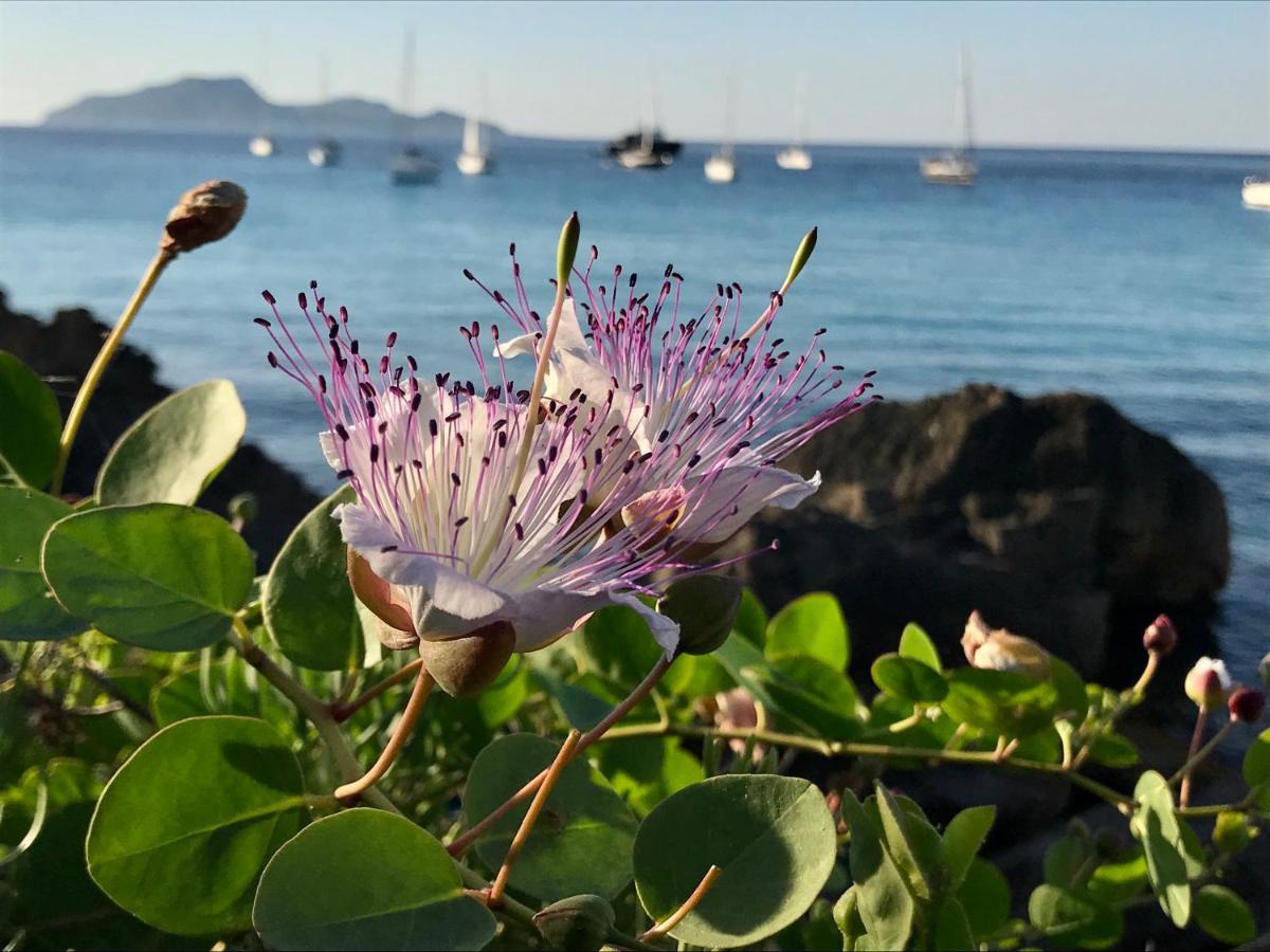 Zaffiro Lavico Rooms Etna Nature Sea Acireale Exteriör bild